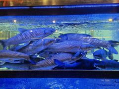 -尚竹阁冬瓜盅·18年地标美食(平洲店)