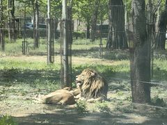 -秦皇岛野生动物园