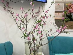 -联合丽格·张菡丽格医疗美容