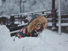 -柯尼希湖