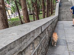 -四门塔风景区