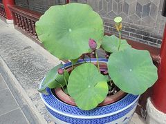 -万寿八仙宫