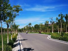 -天津东丽湖风景区