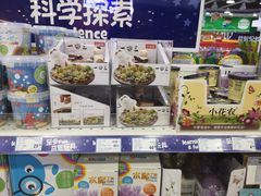 -TOYSRUS玩具反斗城(大连恒隆广场店)
