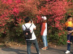 -木兰云雾山