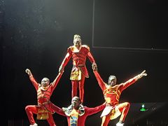 -灵玲国际马戏城
