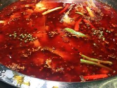 -蜀滋香鲜鱼美蛙火锅(339店)