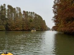 -上海海湾国家森林公园