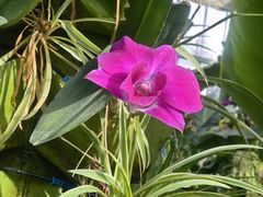 -国家植物园南园