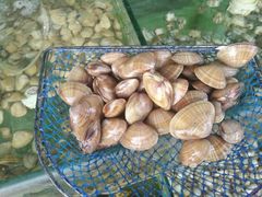 -四海鲜渔家菜(黄金海岸店)