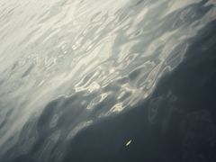 -西湖天地