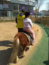 -萌宠亲子动物乐园(槐房万达店)