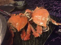 -浩运·海鲜青岛菜·海胆水饺(石老人店)