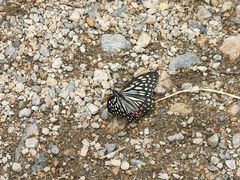 -碓臼峪自然风景区