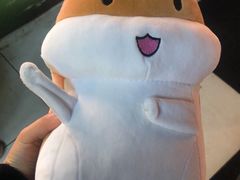 -鹅湖玫瑰文化园