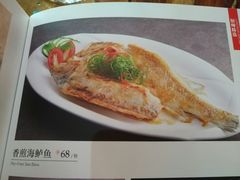 香煎海鲈鱼-JUKEBOX玖部音乐餐厅(华侨城店)