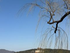 -宫事颐庭·老佛爷贵寿下午茶(颐和园店)