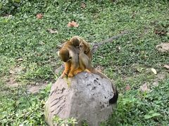 -上海野生动物园