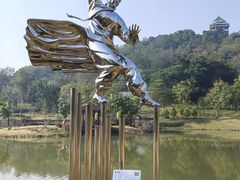 -王借岗森林公园