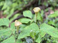 -龙苍沟森林公园