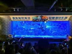 -成都浩海立方海洋公园