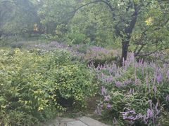 -香山公园-东宫门售票处