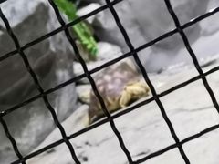 -苏州海洋馆