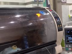 -伟伟宠物医院·CT影像中心·瑞派犬猫综合性门诊(汉口总院)