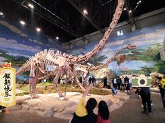 -自贡恐龙博物馆