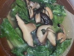 蘑菇汤-刘臣街燃面