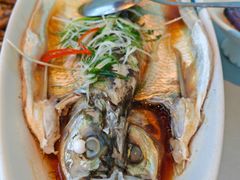 清蒸江南白鱼-翡翠江南(国贸商城店)