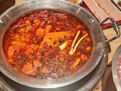 -懂食汇自助火锅