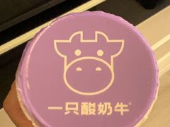 -一只酸奶牛(春熙路店)