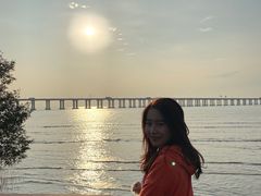 -宝安西湾红树林湿地公园