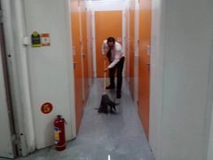 -大众迷你仓自助寄存仓库(隆昌店)