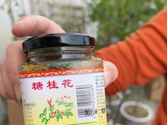-苏州市吴中区光福窑上花果蜜饯厂
