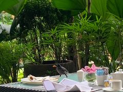 -新加坡文华东方酒店