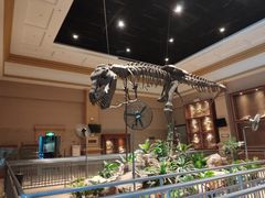 -郑州方特梦幻王国