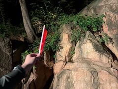 -泰山风景名胜区-普照寺