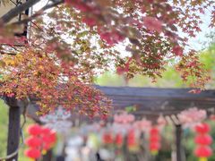 -白马涧龙池景区