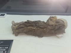 -巴音郭楞蒙古自治州博物馆
