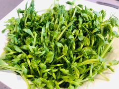-海底捞火锅(铂澜大象城店)