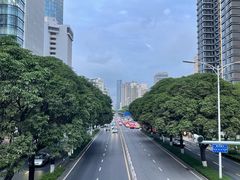 -白鹭洲公园