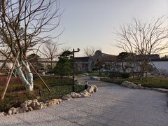-上海滨江森林公园