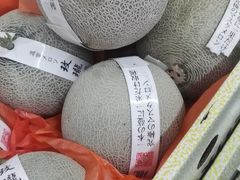 -西郊国际农产品交易中心