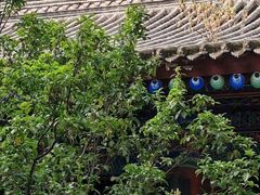 -西安大兴善寺