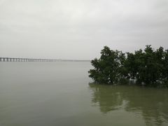 -宝安西湾红树林湿地公园