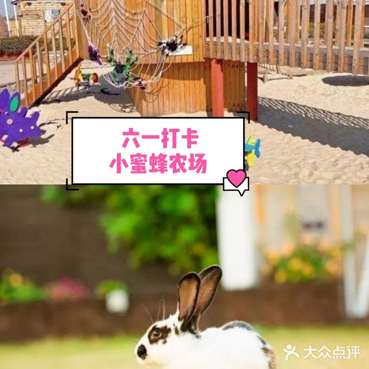 放到水池里，鱼就会跑上来咬奶瓶