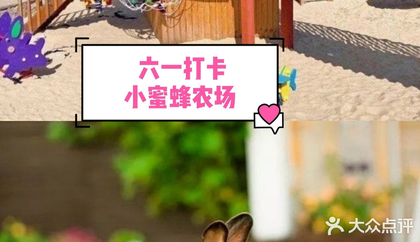 放到水池里，鱼就会跑上来咬奶瓶