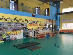 -长春乐奇平衡车儿童体能运动中心